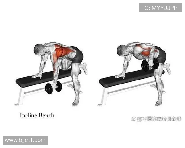 全面提升力量与肌肉的哑铃训练教程详解与实用技巧分享